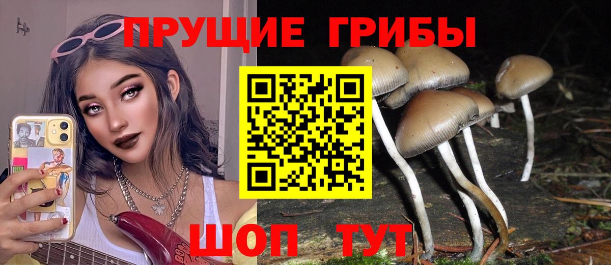 сколько стоит  Псилоцибиновые грибы Cubensis  Вход с VPN  Каменск-Уральский  Псилоцибиновые грибы мухоморы 